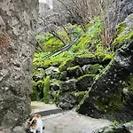 Apartment Skadar Stone House