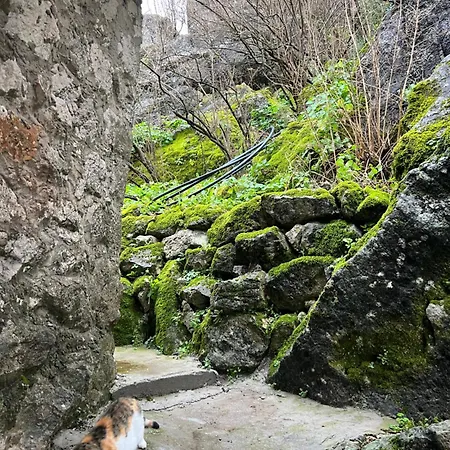 Skadar Stone House Appartement