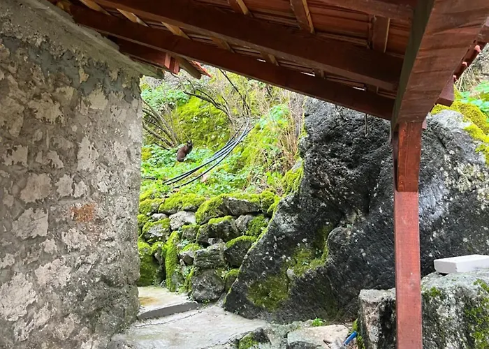 公寓 Skadar Stone House 波德戈里察