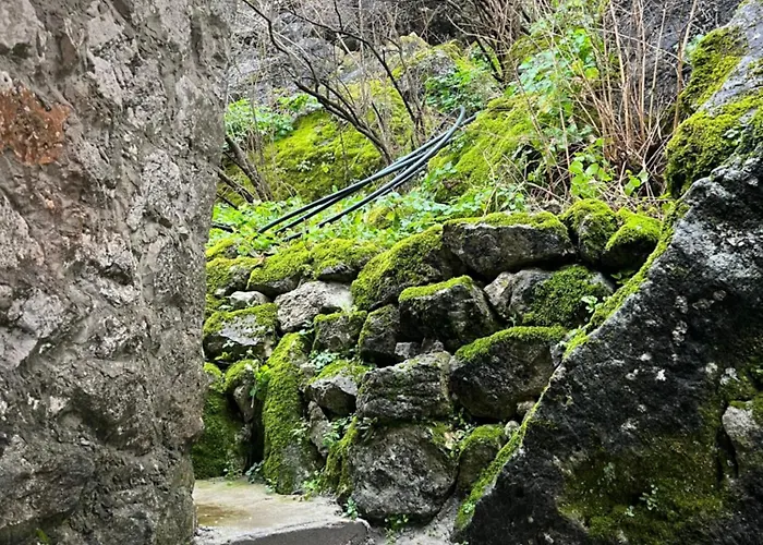 Skadar Stone House Apartment