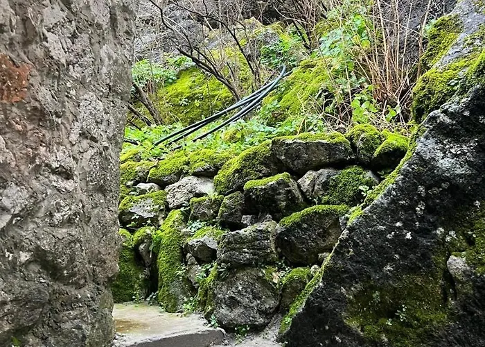 公寓 Skadar Stone House